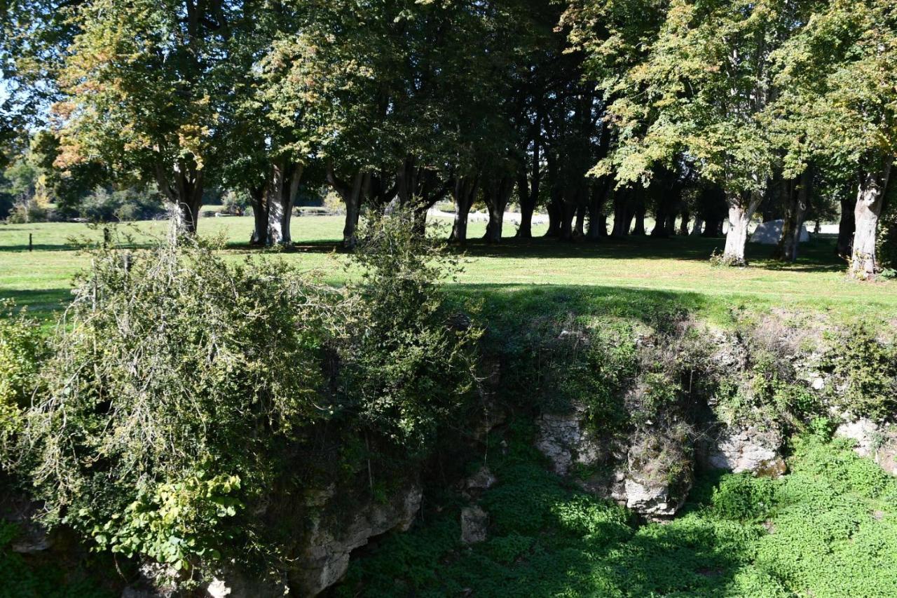 Un Chateau En Bourgogne Saincaize-Meauce Exteriör bild