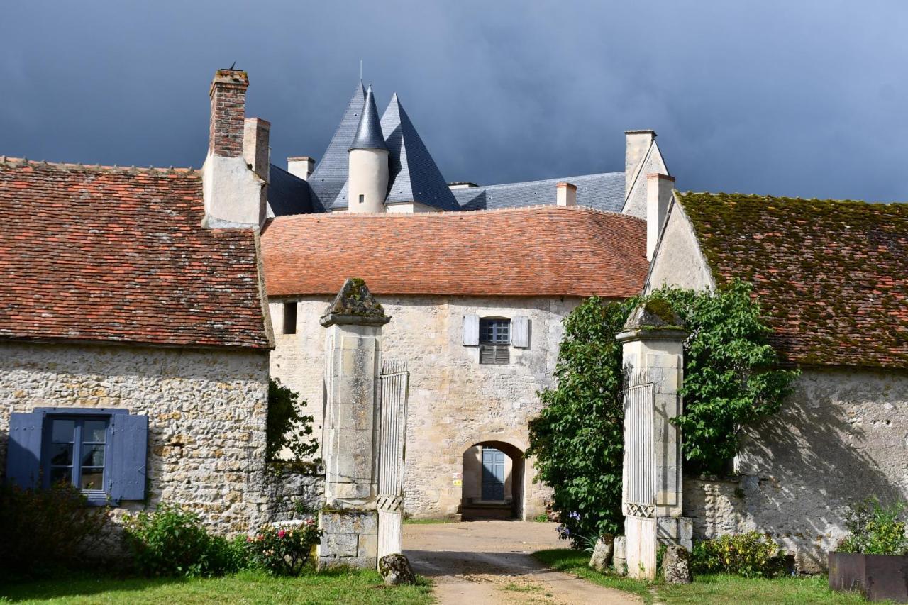 Un Chateau En Bourgogne Saincaize-Meauce Exteriör bild