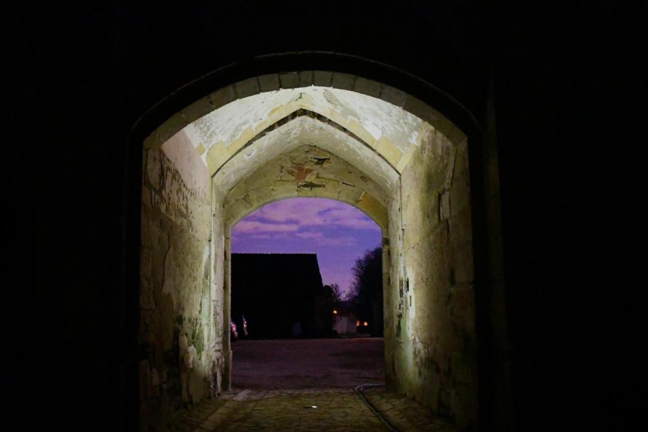 Un Chateau En Bourgogne Saincaize-Meauce Exteriör bild