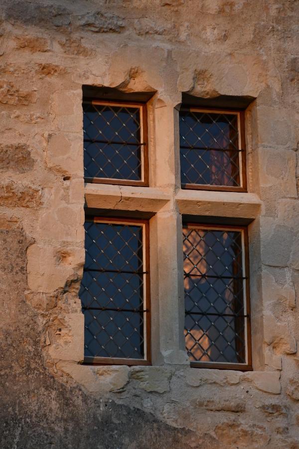 Un Chateau En Bourgogne Saincaize-Meauce Exteriör bild